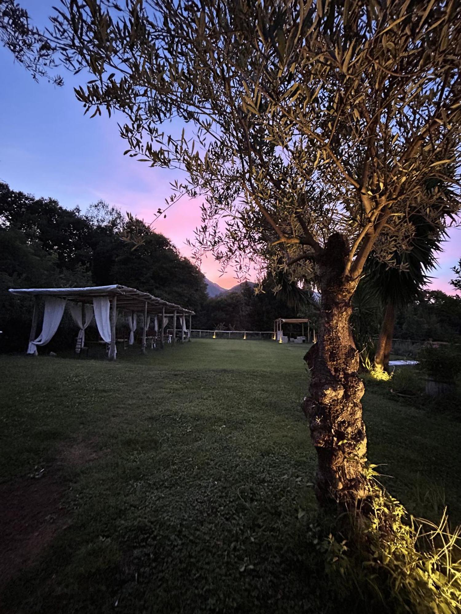 Agriturismo Colle Maiano Vietri Exteriér fotografie